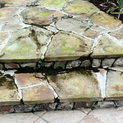 Moss-covered flagstone steps before pressure washing